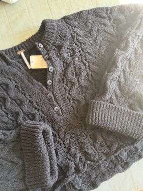 NWT Free People Polly Cable Knit Sweater